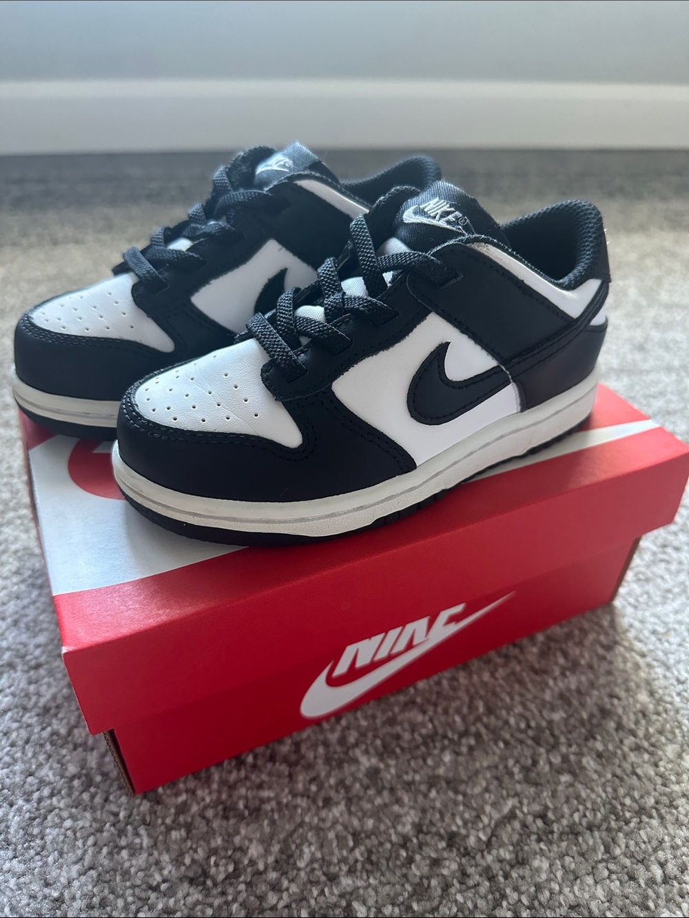 Toddler Nike Dunks